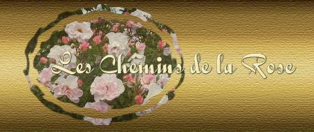 les chemins de la rose