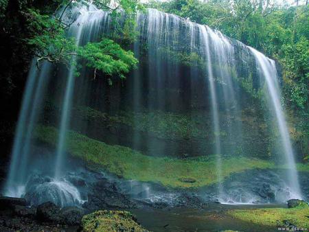 la nature
