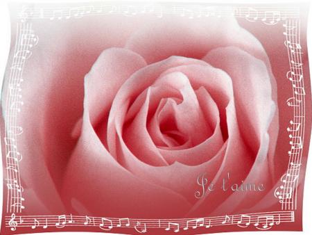 rose