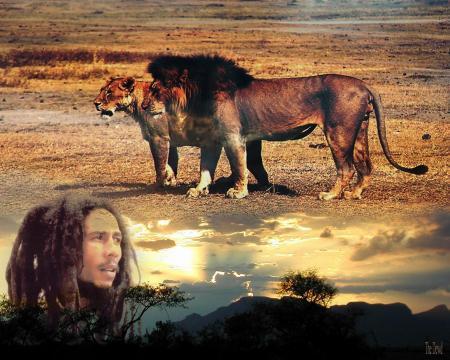 ROBER NESTA MARLEY