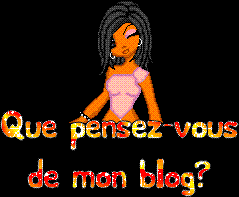 QUE PENSEZ-VOUS DE MON BLOG