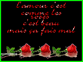 LES ROSEs